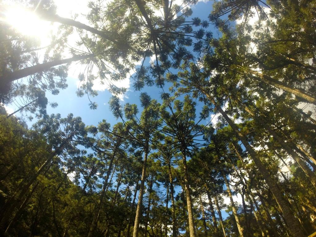 Green Village Hotel Monte Verde  Bagian luar foto