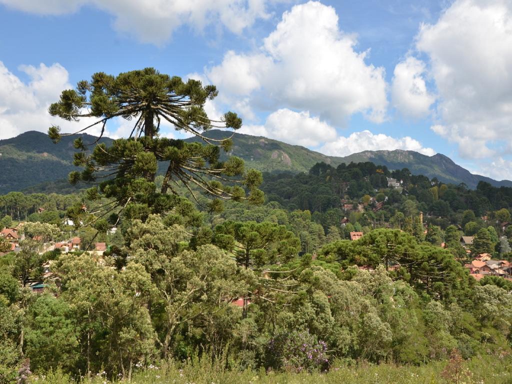 Green Village Hotel Monte Verde  Bagian luar foto